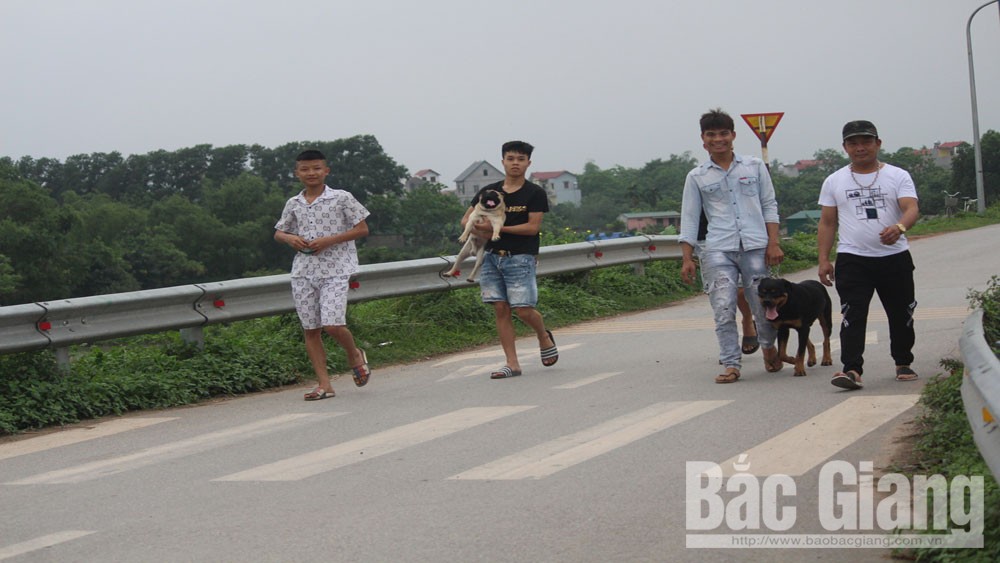 {keywords} {keywords}