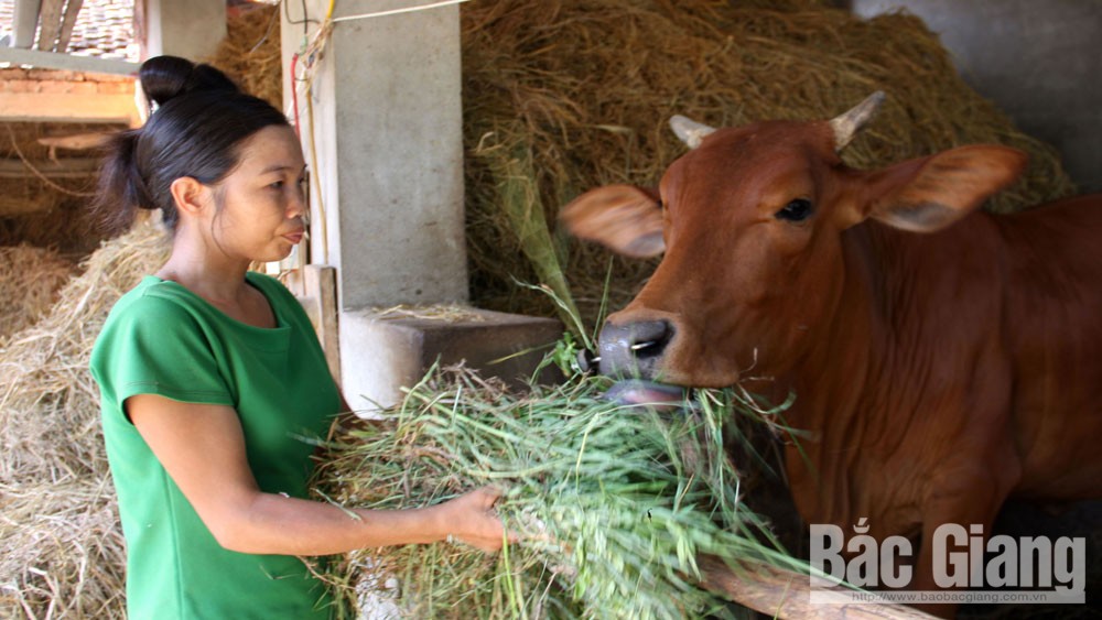 {keywords} {keywords}