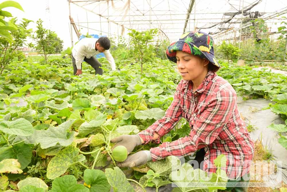 {keywords} {keywords}