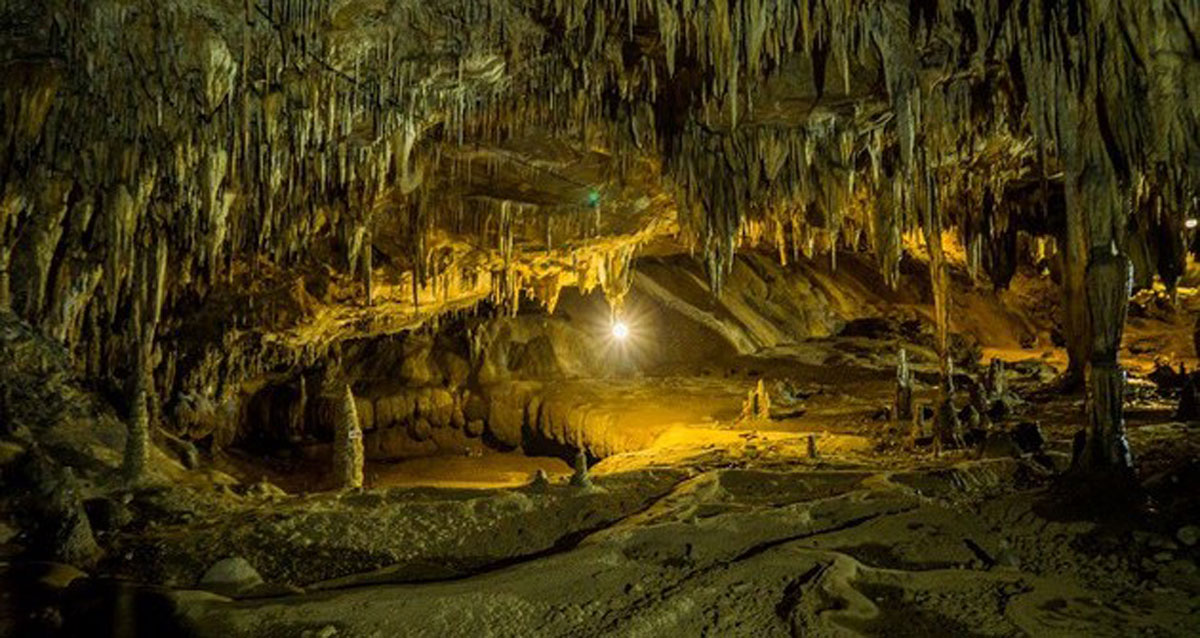 {keywords} {keywords}