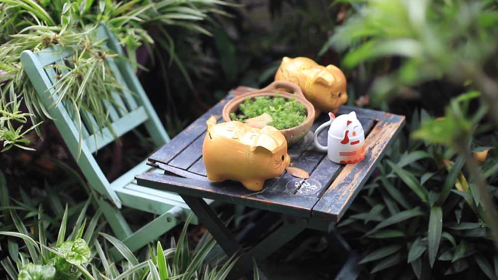 Nhặt rác về làm khu vườn xanh mát
