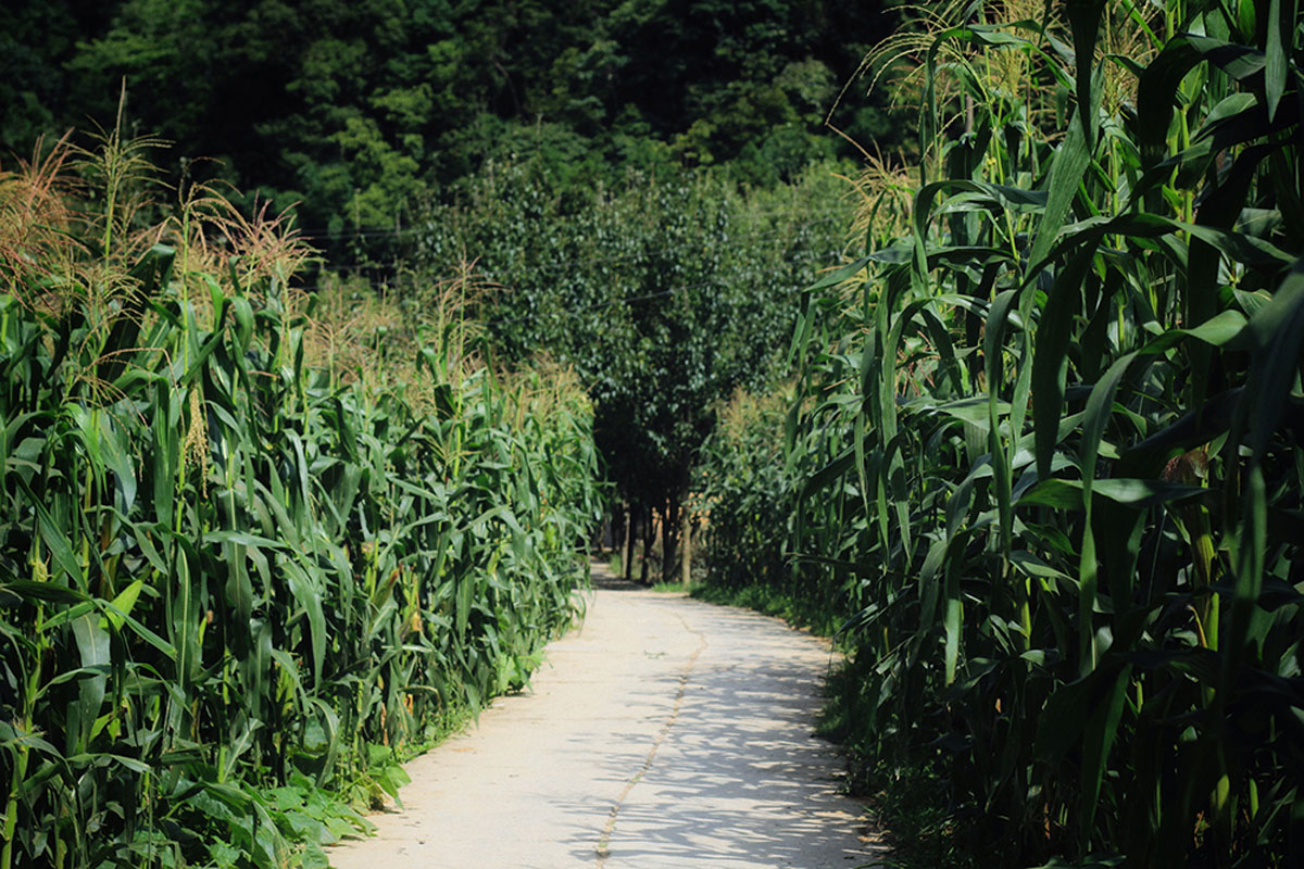 {keywords} {keywords}