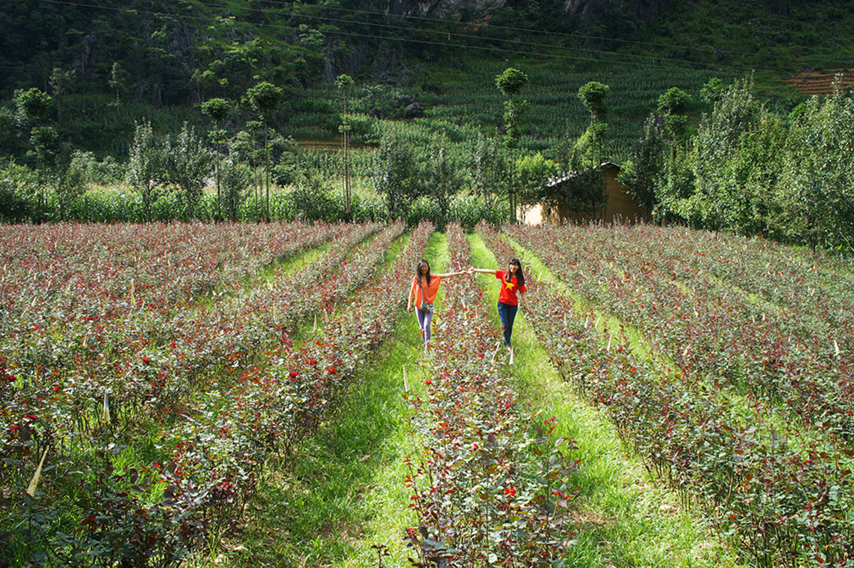 {keywords} {keywords}