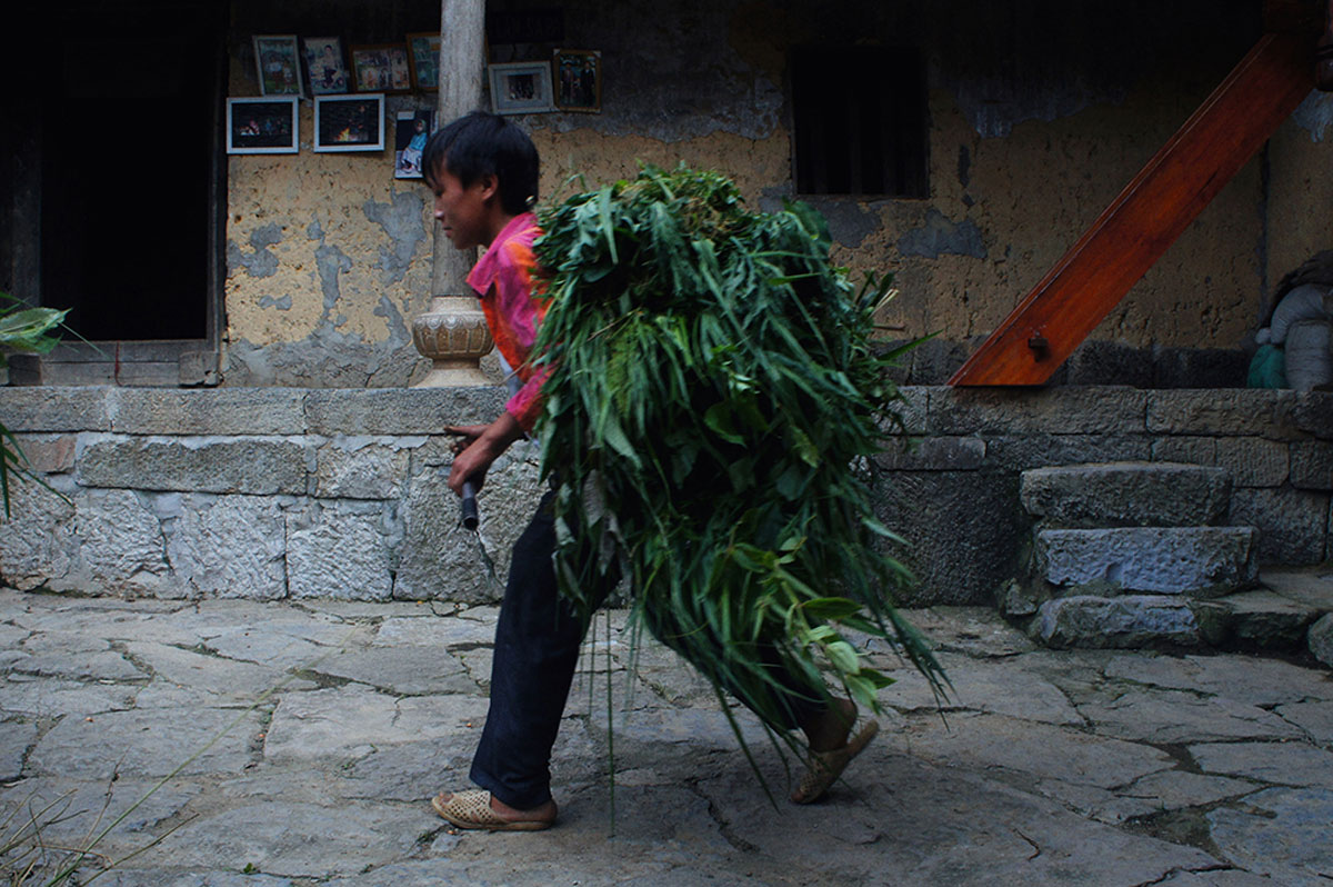 {keywords} {keywords}