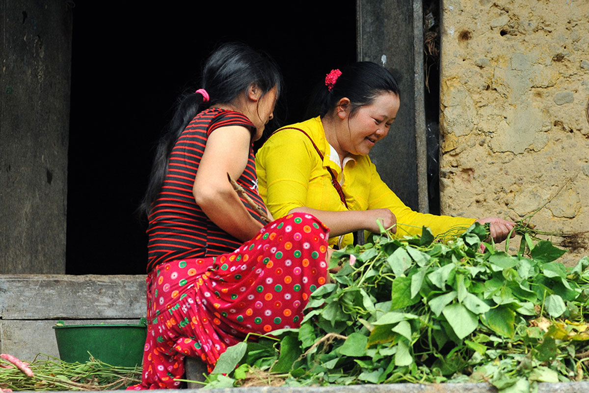 {keywords} {keywords}