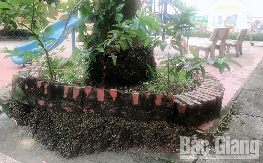 {keywords} {keywords}