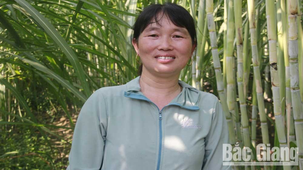 Khởi nghiệp từ vùng đất khó