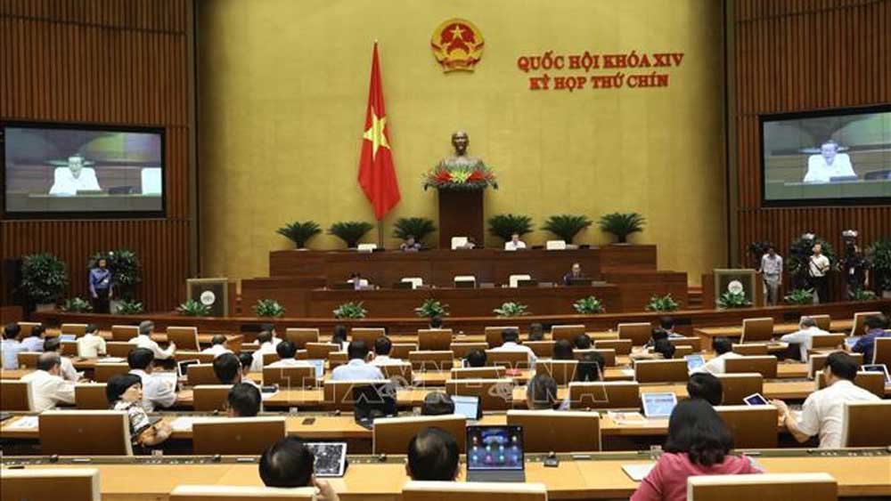 Không đưa hộ kinh doanh vào Luật Doanh nghiệp (sửa đổi)
