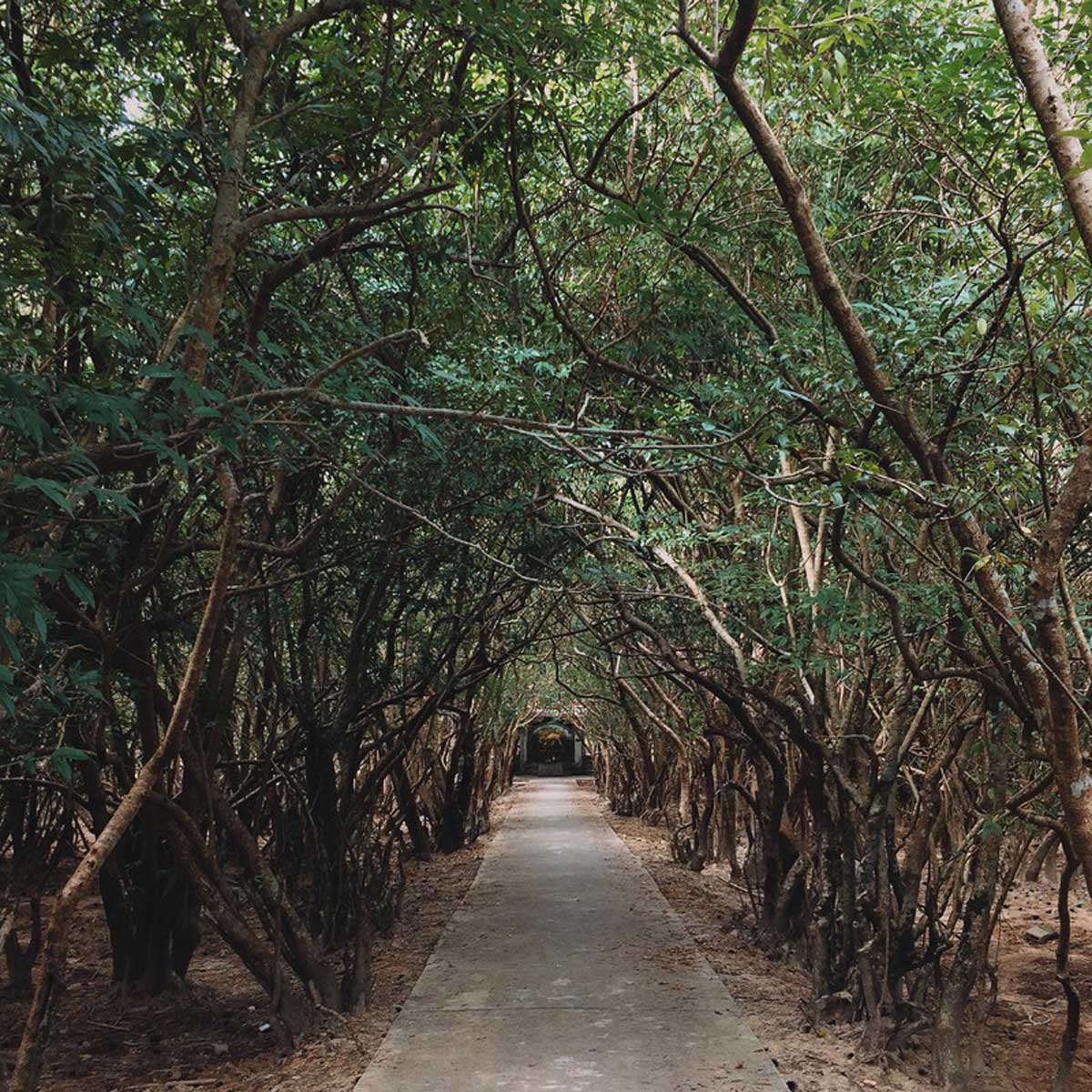 {keywords} {keywords}