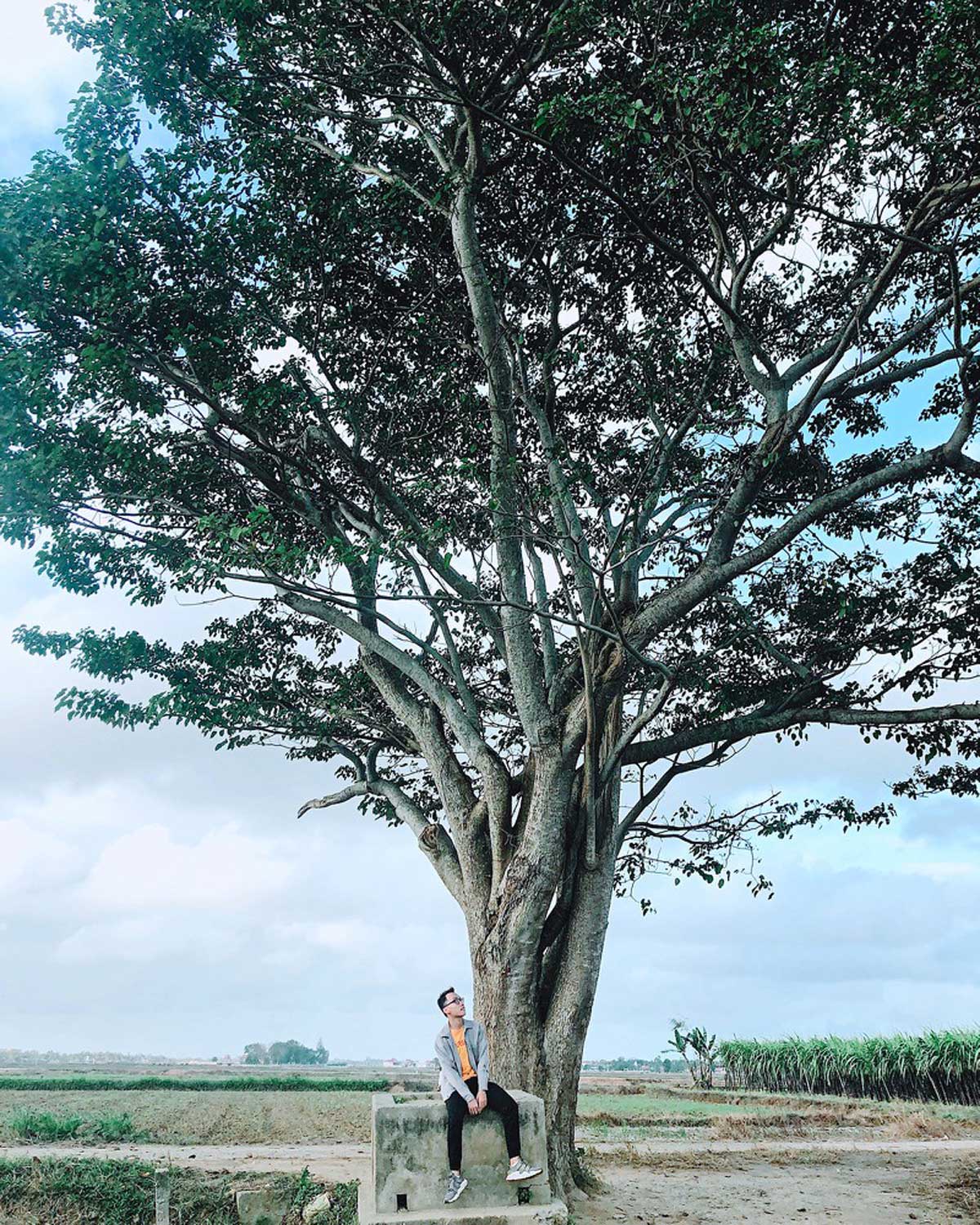 {keywords} {keywords}