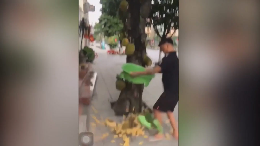 Thanh niên hụt hẫng khi dùng thau hứng mít