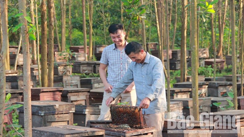 Bắc Giang: “Giọt vàng” Tây Yên Tử
