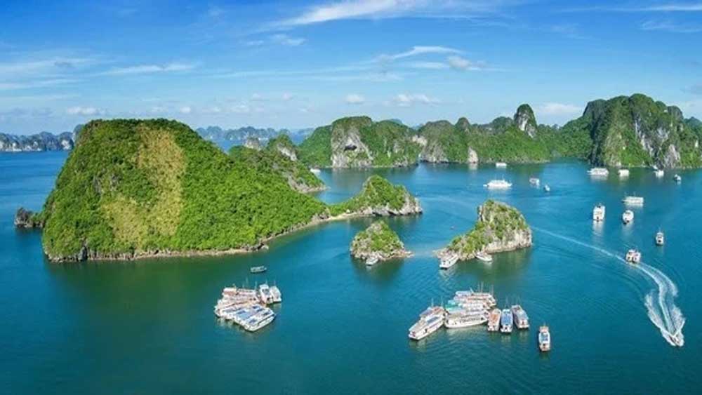 Giảm 50% phí tham quan lưu trú trên vịnh Hạ Long từ ngày 10/7