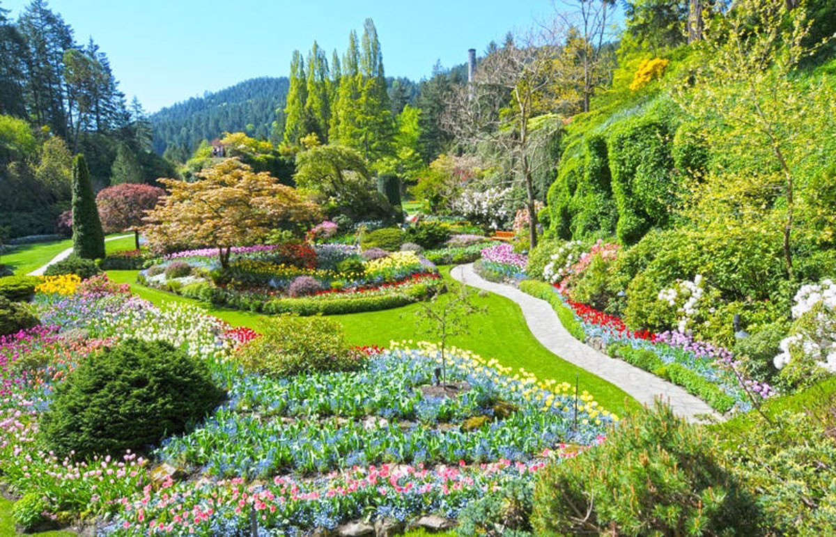 {keywords} {keywords}