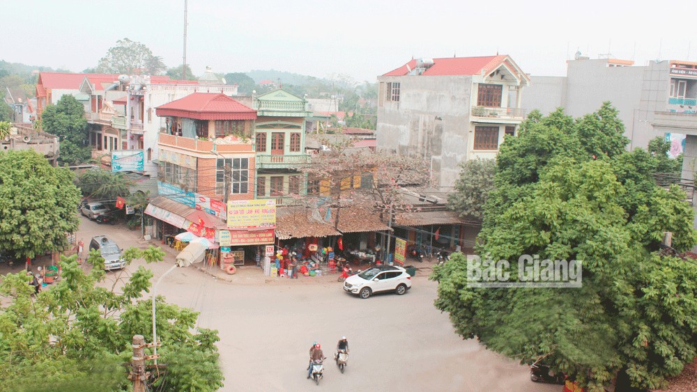 Thương nhớ Nhã Nam