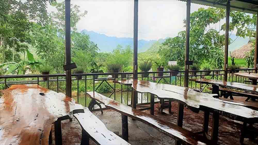 The natural taste of Thai