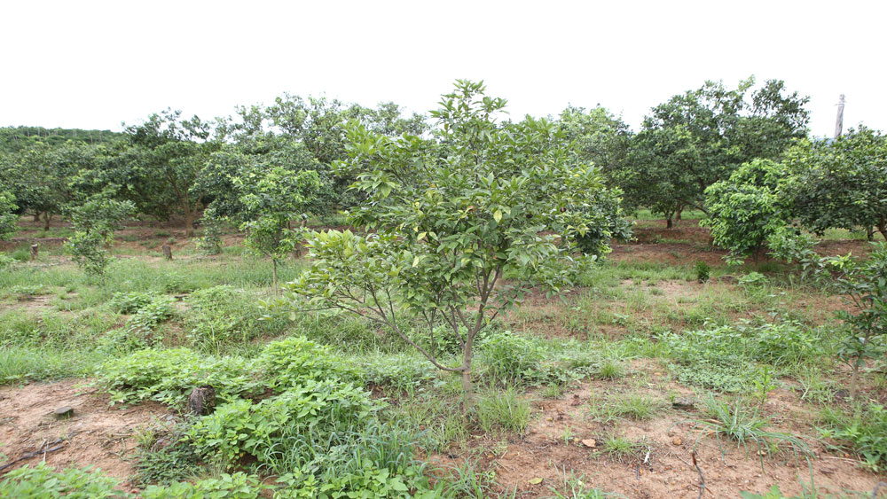 {keywords} {keywords}