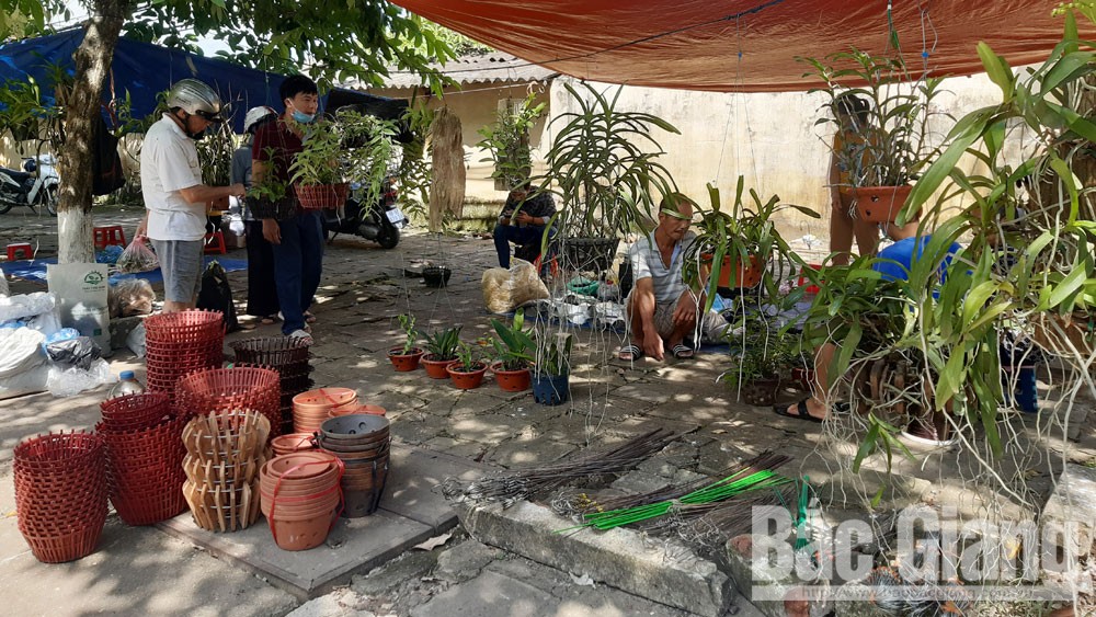 {keywords} {keywords}