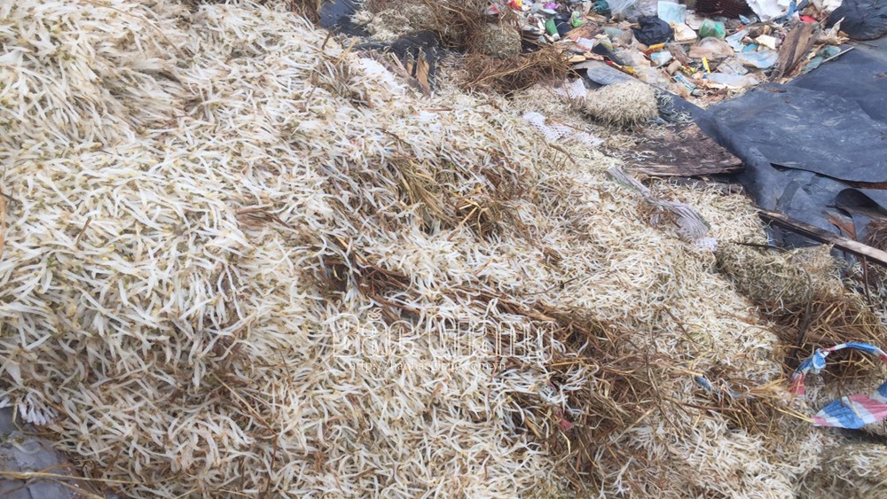 {keywords} {keywords}