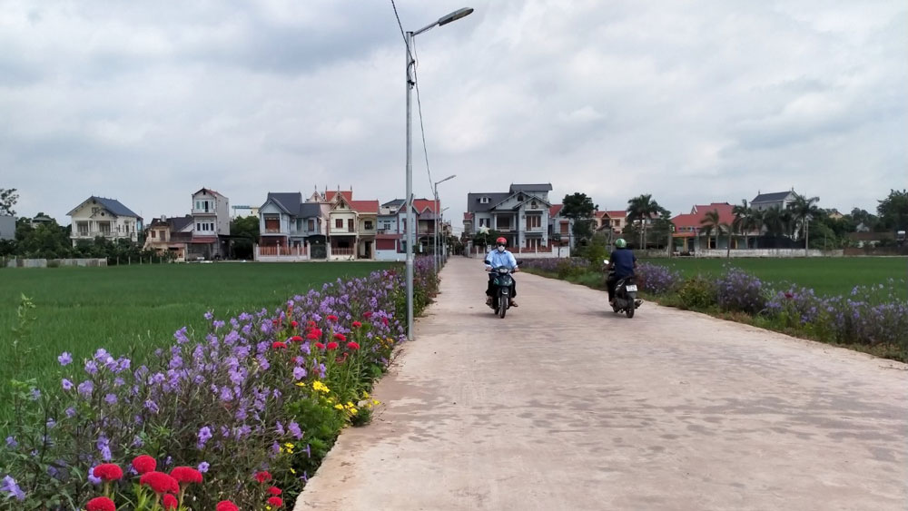 Làng quê Tân Dĩnh (Lạng Giang)