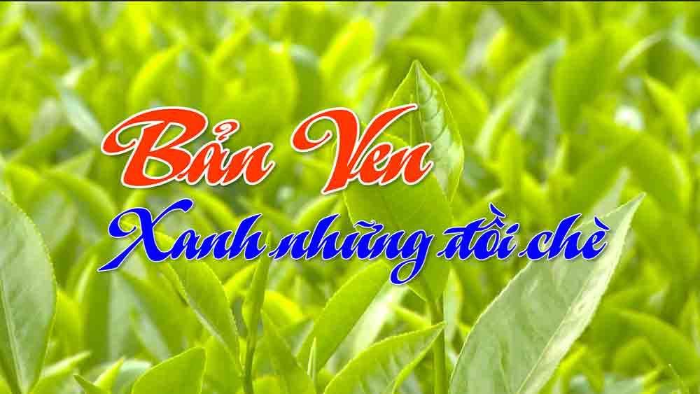 Bản Ven xanh những đồi chè