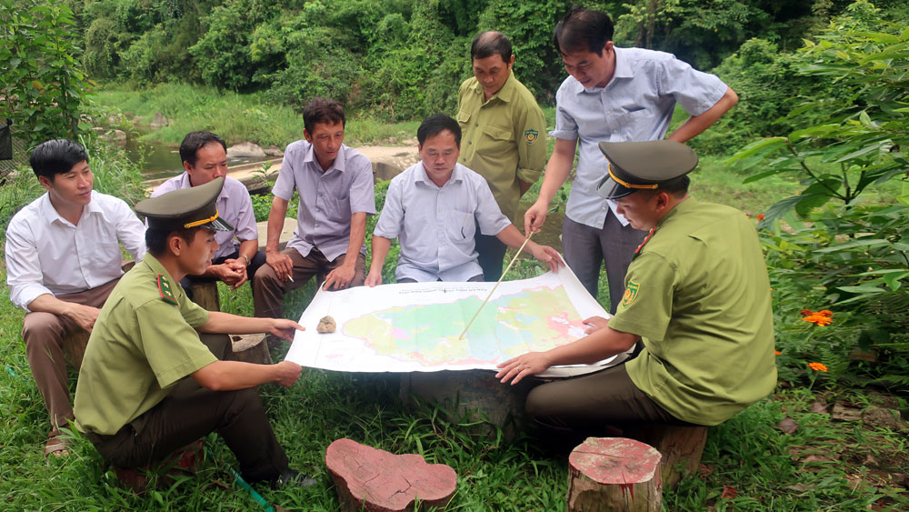 Toàn dân bảo vệ rừng