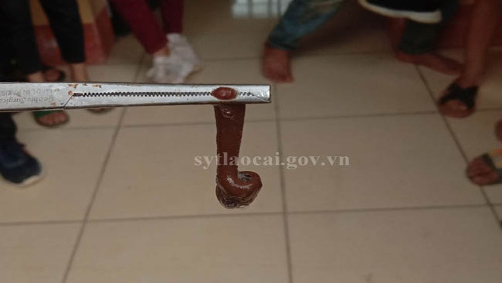 {keywords} {keywords}