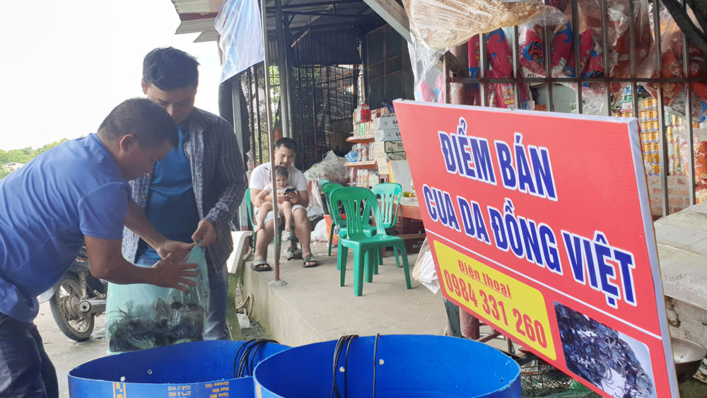 Da crab, specialty in Phuong Hoang land
