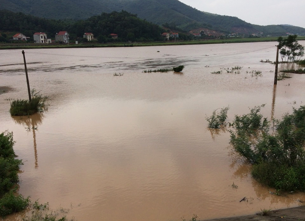 {keywords} {keywords}