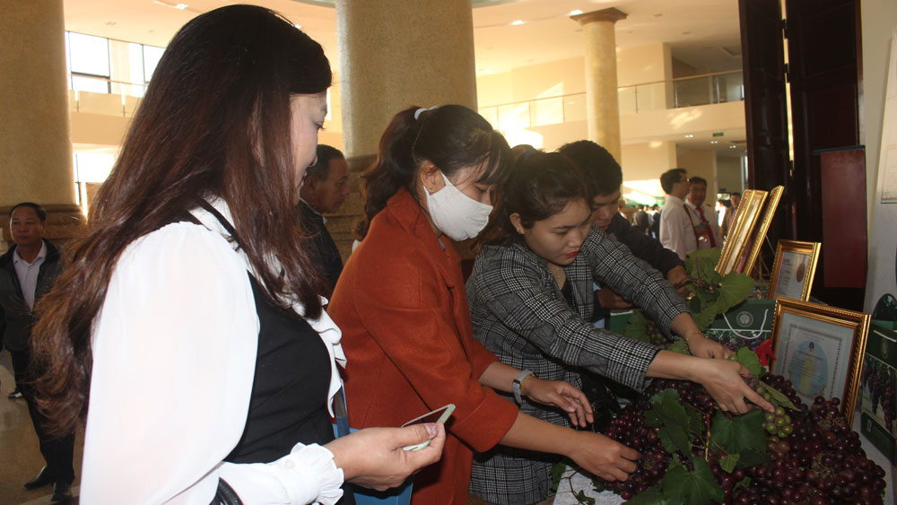 {keywords} {keywords}