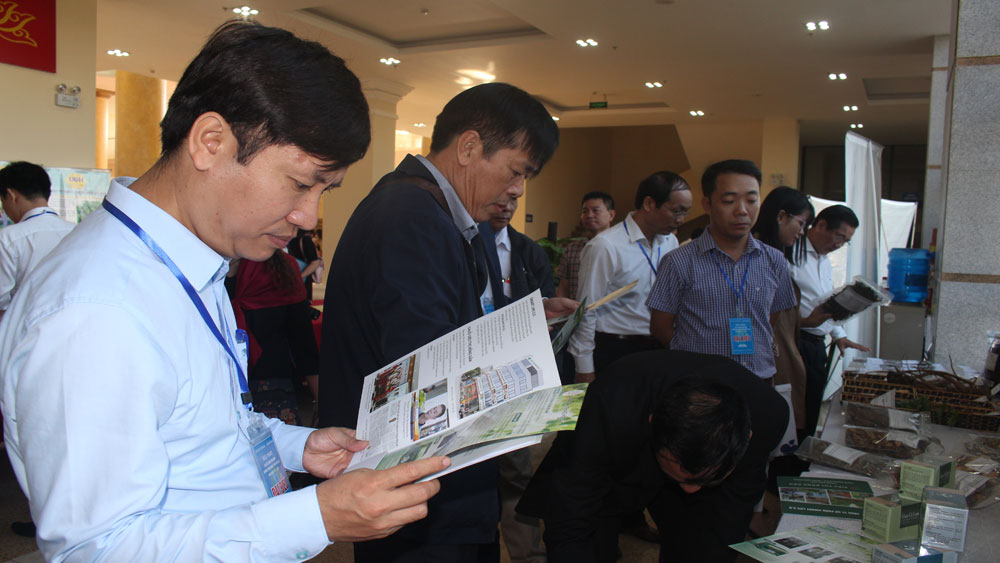 {keywords} {keywords}