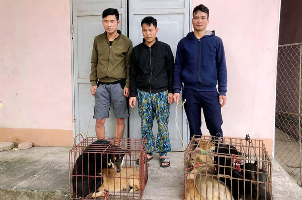 {keywords} {keywords}