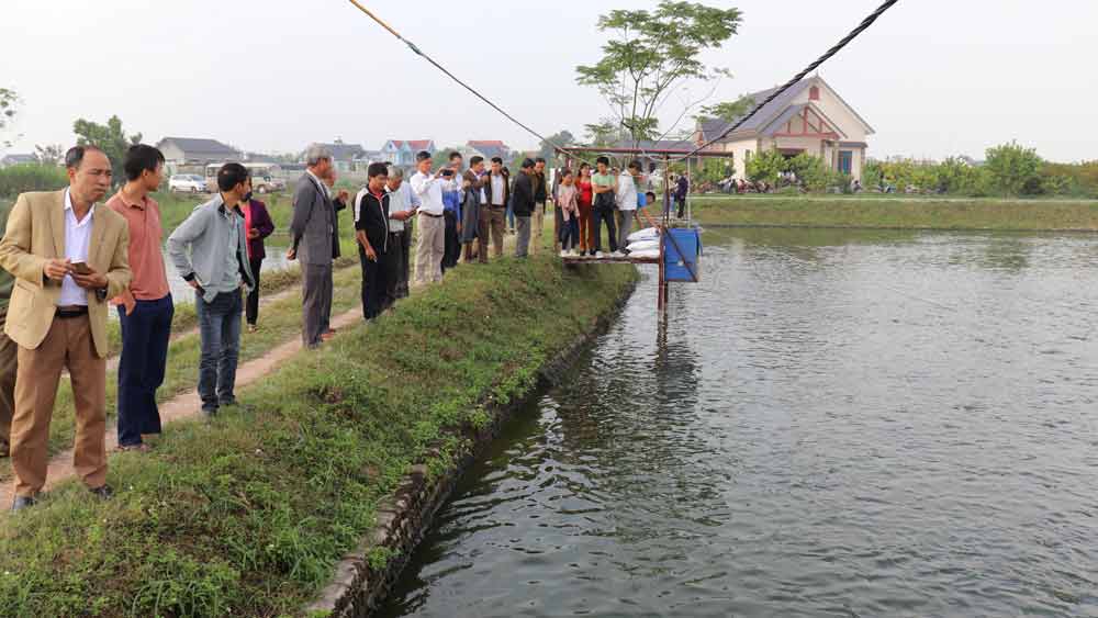 {keywords} {keywords}