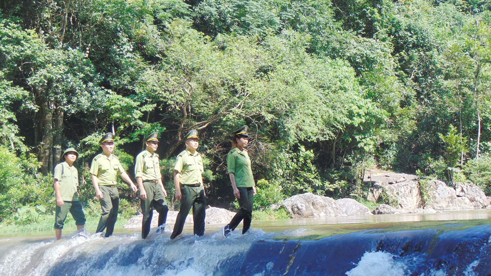 {keywords} {keywords}