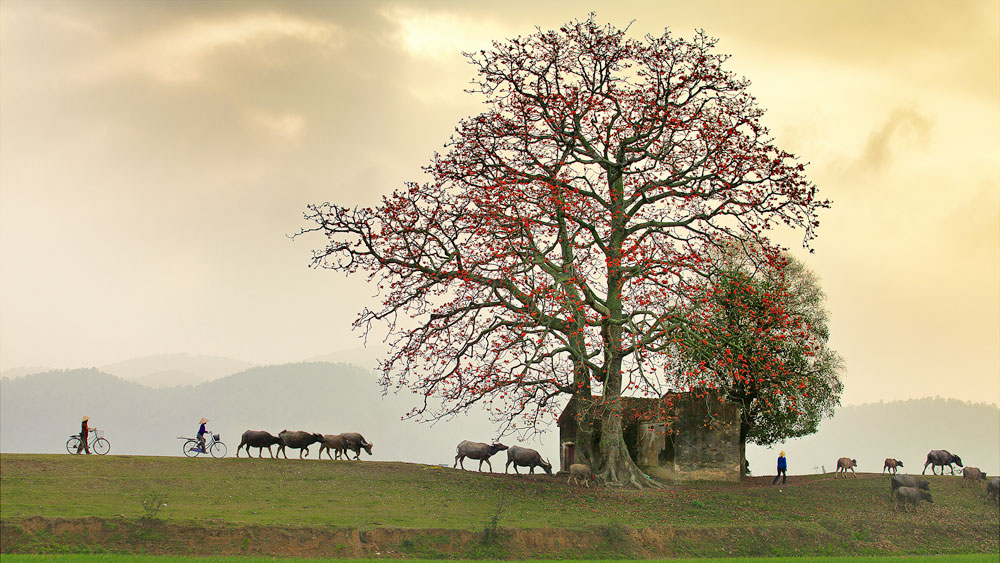 {keywords} {keywords}