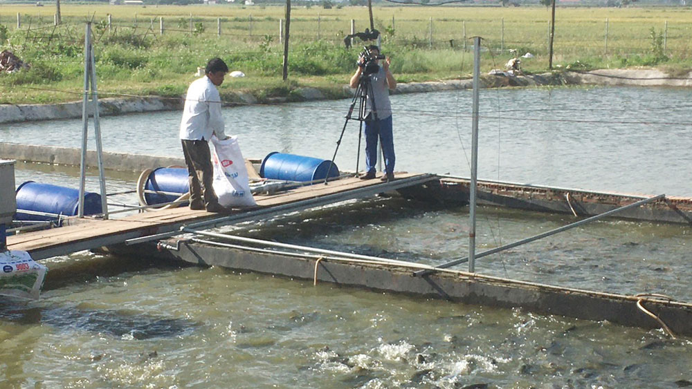 {keywords} {keywords}