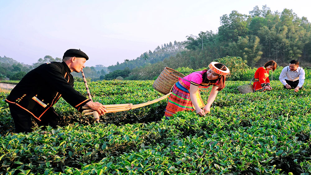 Đánh thức tiềm năng du lịch cộng đồng: Bài 2- Những tín hiệu vui