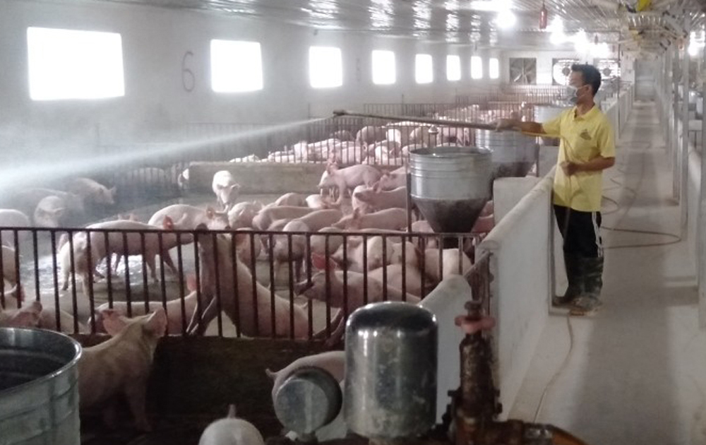 {keywords} {keywords}