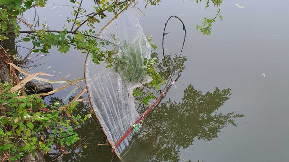 {keywords} {keywords}