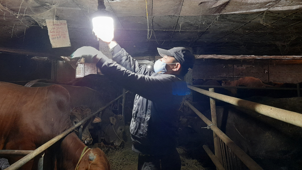 {keywords} {keywords}