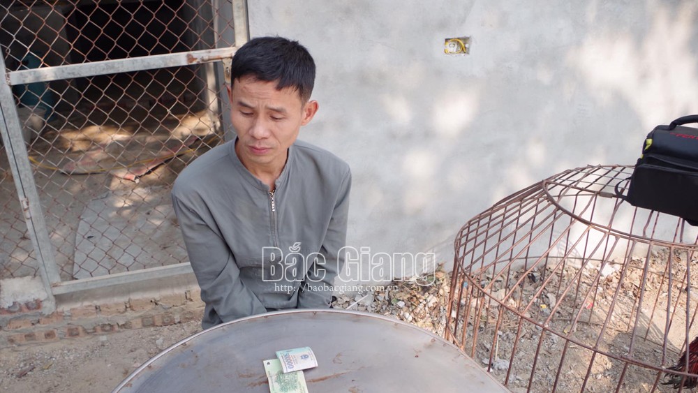 {keywords} {keywords}