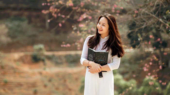 Mai anh đào nhuộm hồng Đà Lạt