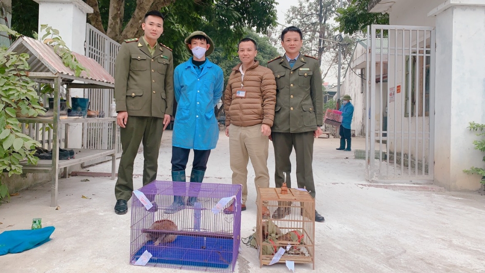 Bắc Giang: Bàn giao ba cá thể động vật rừng quý hiếm về Trung tâm Cứu hộ động vật hoang dã