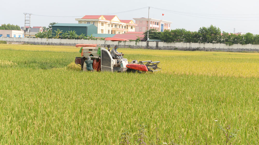 {keywords} {keywords}