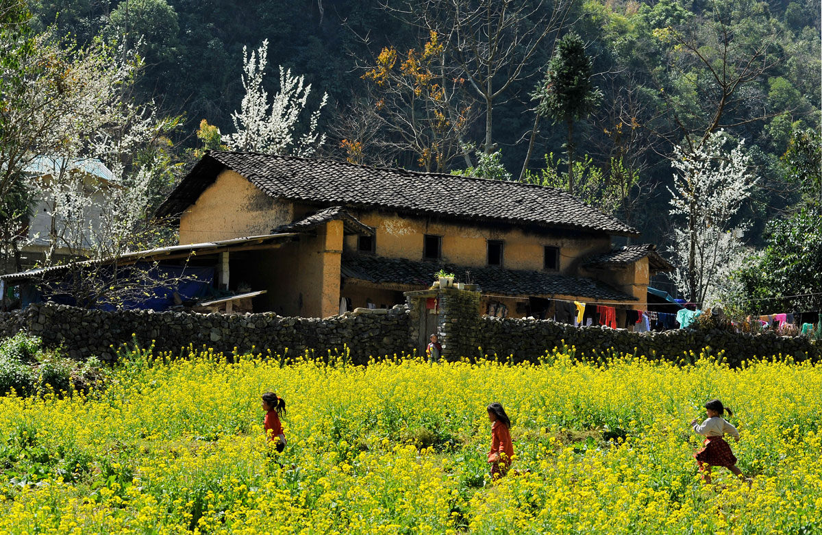 {keywords} {keywords}