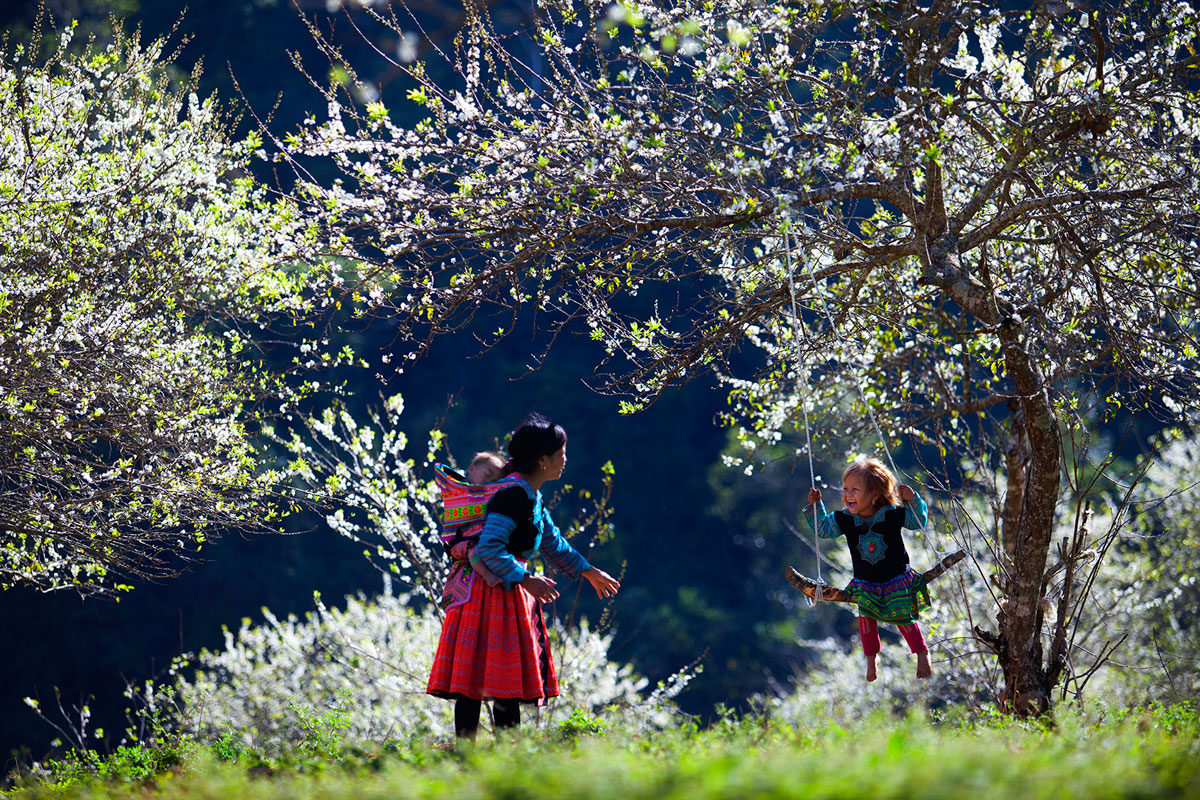 {keywords} {keywords}