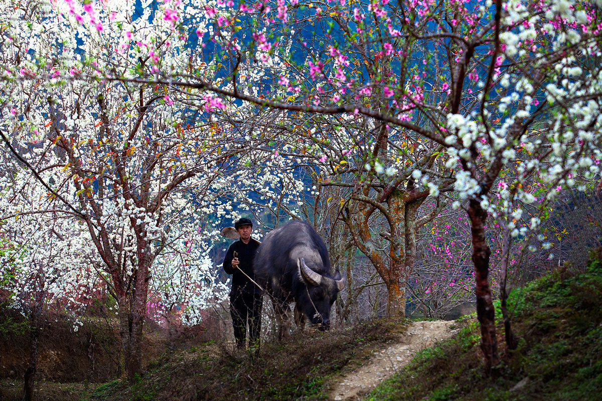 {keywords} {keywords}