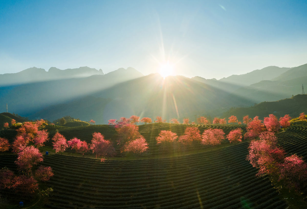 {keywords} {keywords}