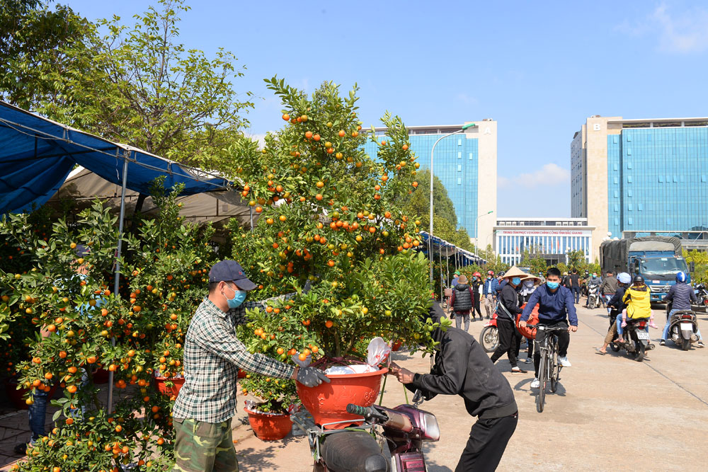 {keywords} {keywords}