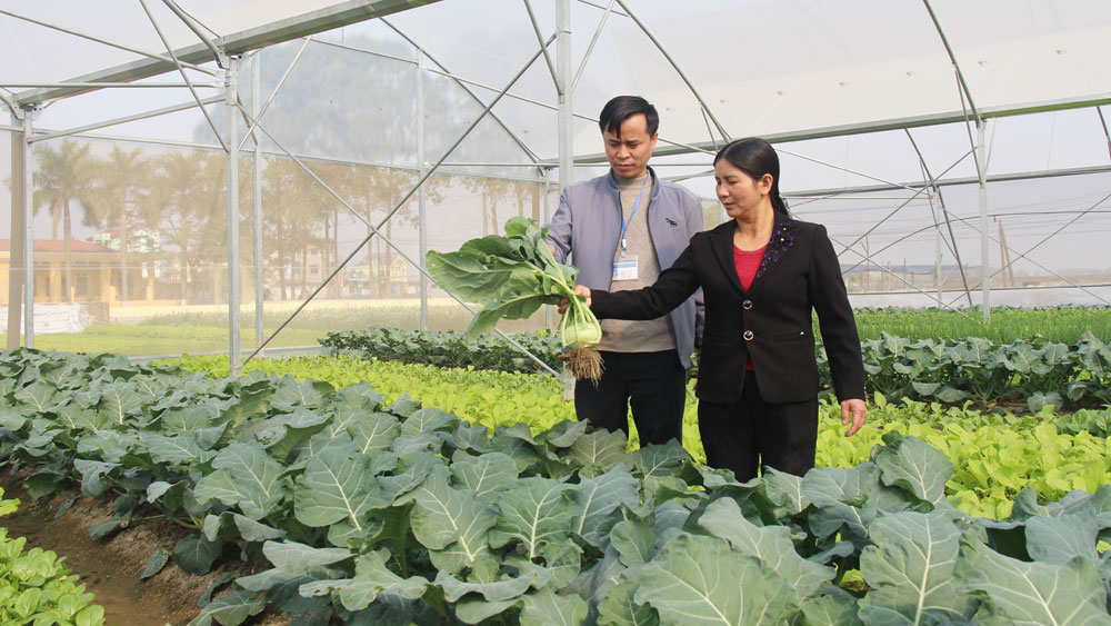 {keywords} {keywords}